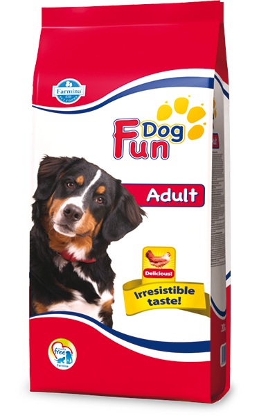 fun-dog