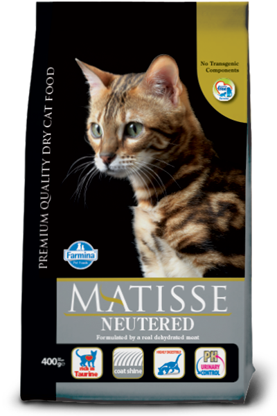 matisse-neutered