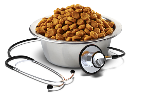 88_25_ciotola-vet-life